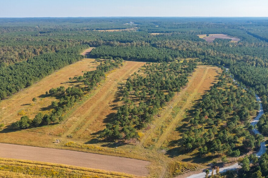 More Photos Of 18618 Hwy 43, Linden Land For Sale