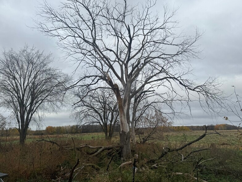 More Photos Of 31326 Teal Ave, Shafer Land For Sale