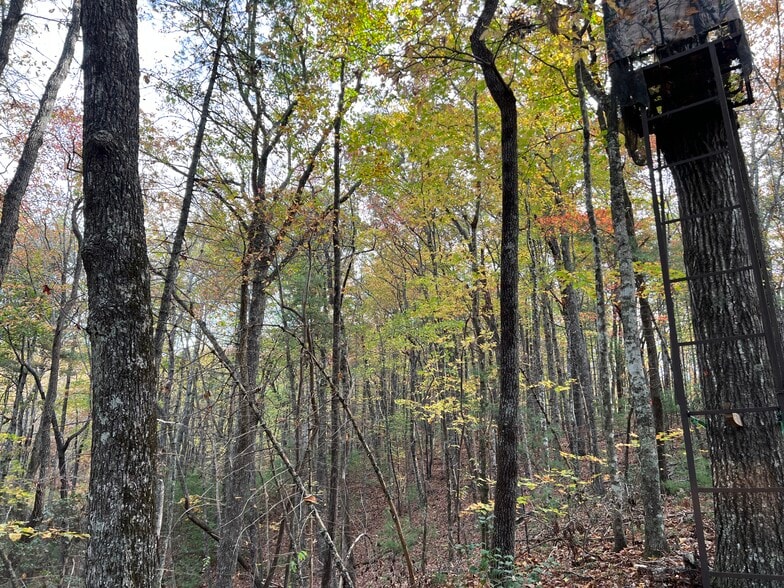 More Photos Of Whitecliff Drive, Ellijay Land For Sale