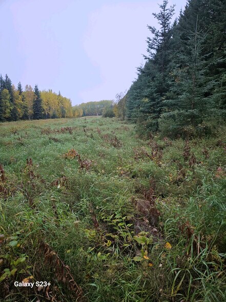 More Photos Of Ski Boot Hill Rd @ Solitude Way, Fairbanks Land For Sale