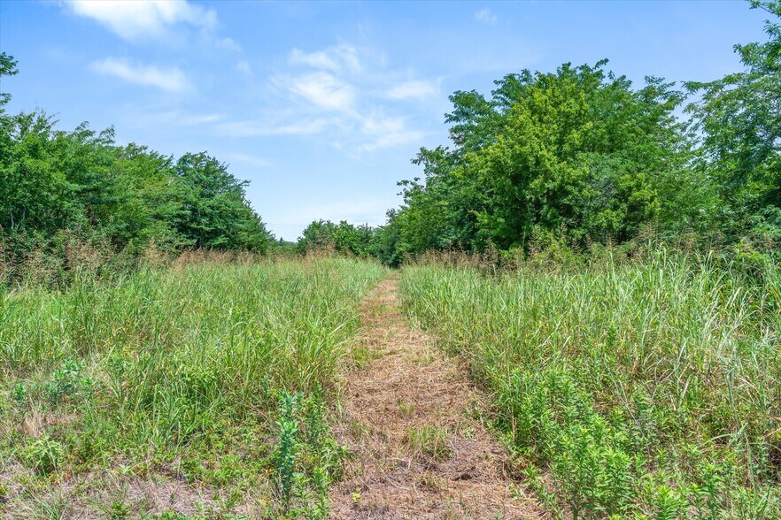 More Photos Of 1745 FM 2737, Lone Oak Land For Sale