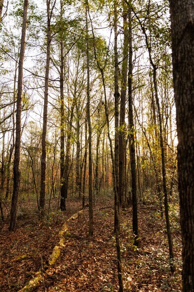 More Photos Of Jug Factory Road, Wetumpka Land For Sale