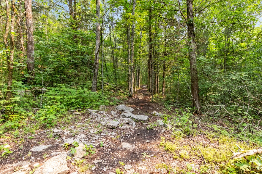 More Photos Of 1049 Oregon Rd, Lascassas Specialty For Sale