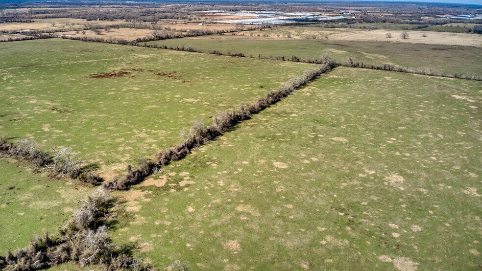 More Photos Of 42919 Addie Gee rd, Hempstead Land For Sale