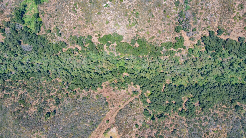 More Photos Of Running Creek Road, Valley Center Land For Sale