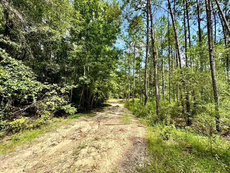 More Photos Of 0 Slim Palmer Road, Zavalla Land For Sale