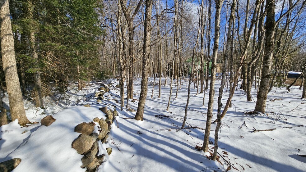 More Photos Of 1316 William Ernst Rd, West Leyden Land For Sale