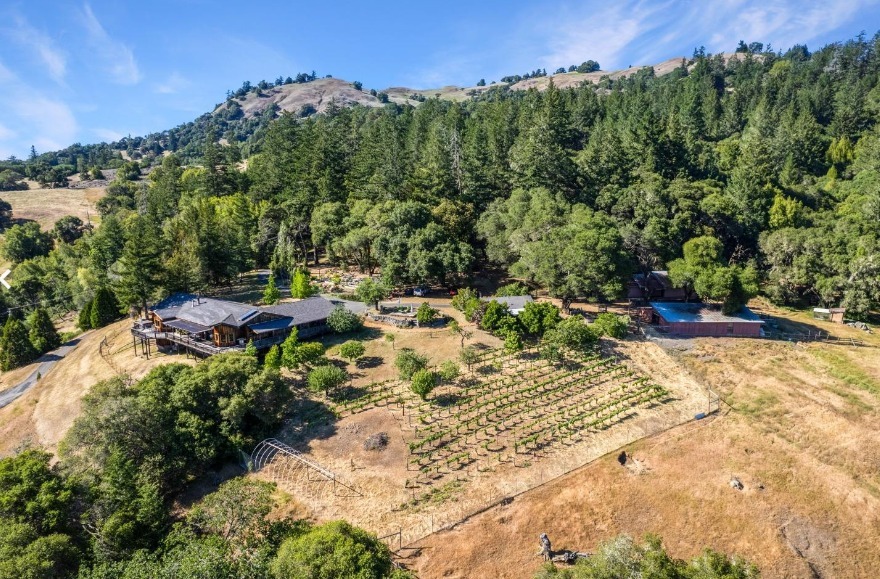 Primary Photo Of 20799 Highway 128, Yorkville Winery Vineyard For Sale