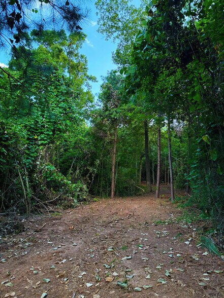 More Photos Of 00 221 Highway South Hwy, Laurens Land For Sale