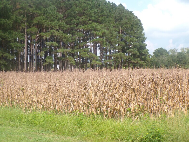 More Photos Of 1248 Bethlehem Rd, Hartsville Industrial For Sale