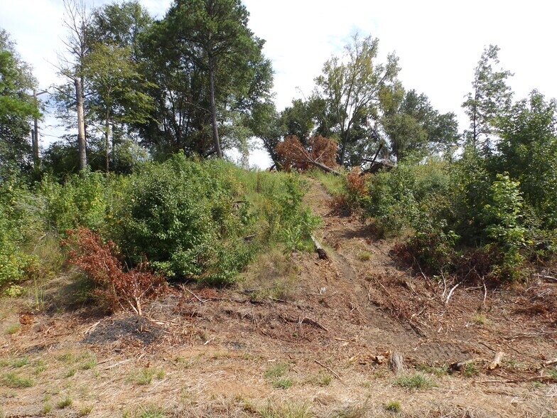 More Photos Of 16393 Highway 31, Tyler Land For Sale