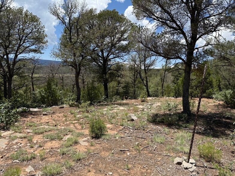 More Photos Of 44 Forest 321 Rd, Estancia Land For Sale