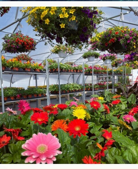 More Photos Of 886 Rt-25a & Radio Ave, Miller Place Land For Sale