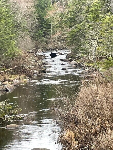 More Photos Of 1594 Elk Pond rd, Long Lake Land For Sale