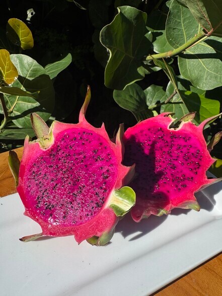 More Photos Of 6018 NW County Road 661A, Arcadia Land For Sale