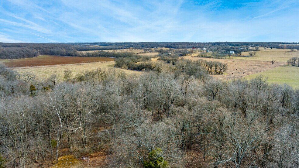 More Photos Of 17430 State HWY 0, Stark City Land For Sale