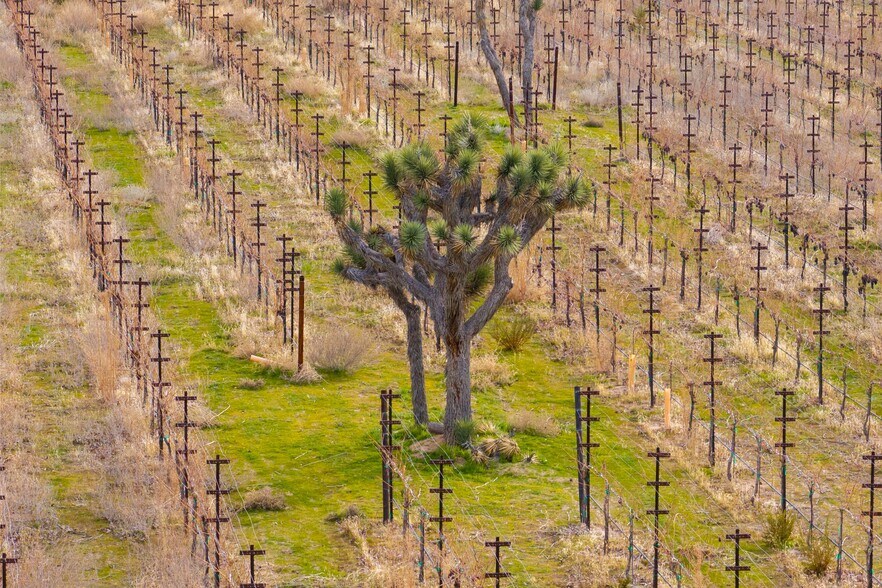 More Photos Of Fort Tejon Rd, Littlerock Land For Sale