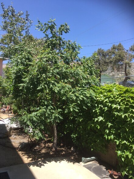 More Photos Of 3212 Mt Pinos Way, Frazier Park Light Manufacturing For Sale