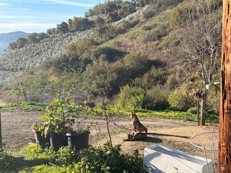 Primary Photo Of Rice Canyon rd, Fallbrook Land For Lease