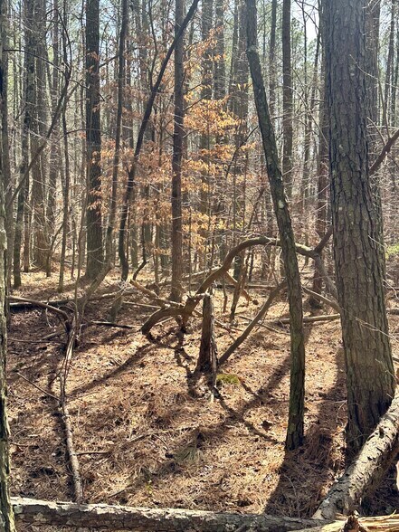 More Photos Of 0 Autry Rd, Plainville Land For Sale