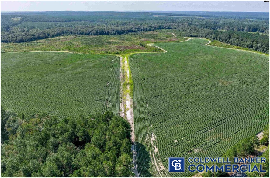 More Photos Of 1340 Clayton Rd, Ridge Spring Land For Sale