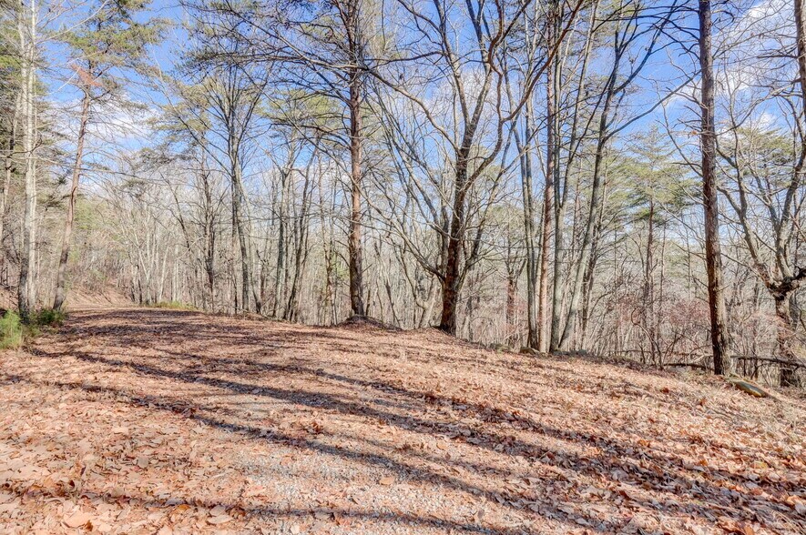 More Photos Of 1915 Tower Trl, Waleska Land For Sale