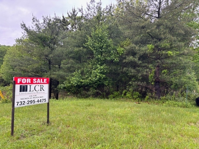 More Photos Of 2681-2683 Highway 70, Wall Land For Sale