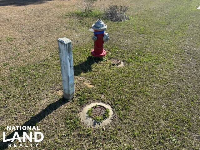 More Photos Of Hwy 421 S. Malpass Corner, Burgaw Land For Sale