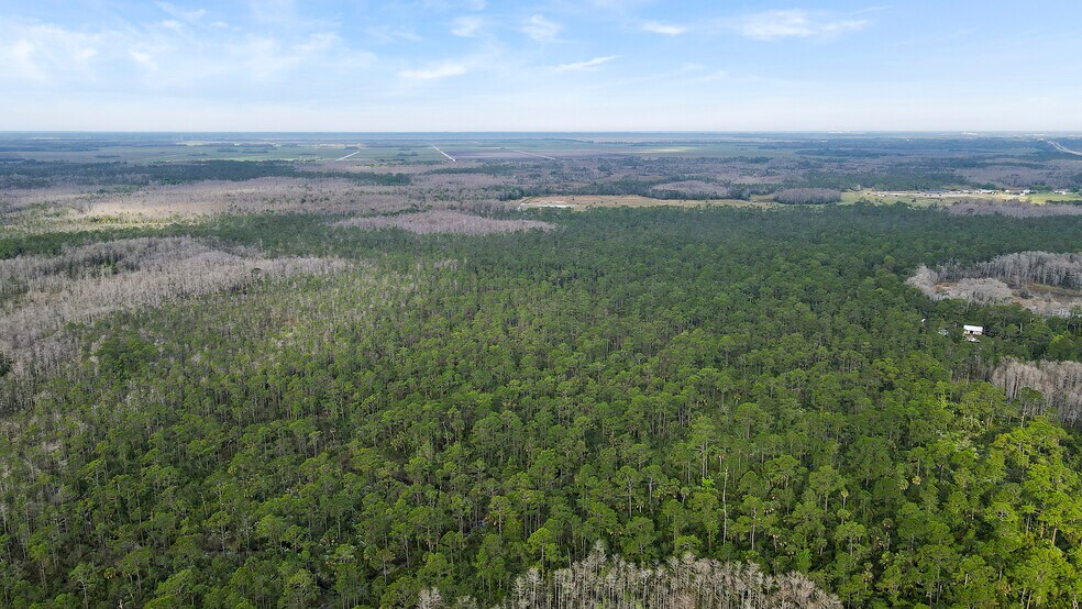 More Photos Of TBD SW Warfield Rd, Indiantown Land For Sale
