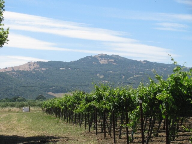 Primary Photo Of 2574 Ledgewood Rd, Fairfield Winery Vineyard For Sale