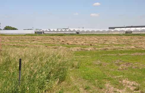 More Photos Of xxx County Rd NE, Buffalo Land For Sale