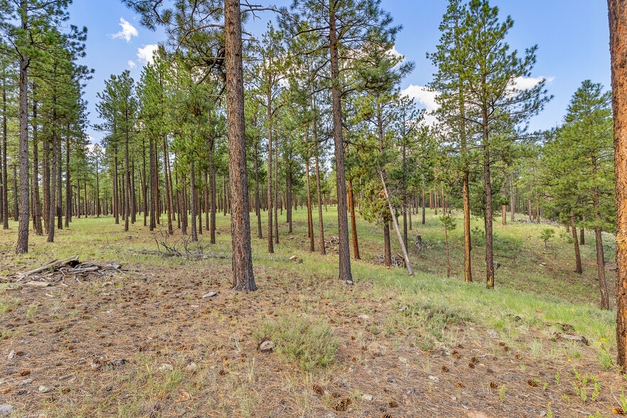 More Photos Of 2251 Kramer St, Flagstaff Land For Sale