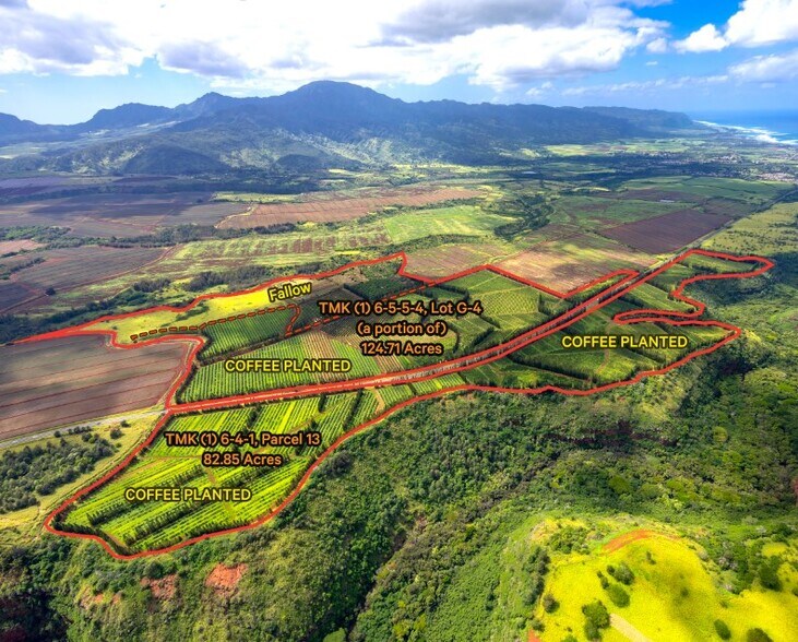 Primary Photo Of Kamehameha Highway, Waialua Land For Sale