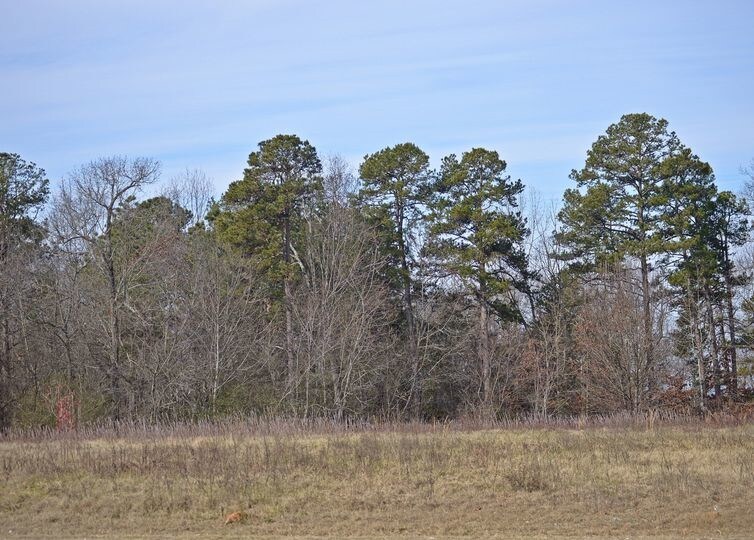 More Photos Of 13000 S Radio Station Rd, Seneca Land For Sale