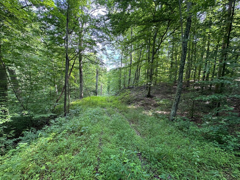 More Photos Of 8441 Millertown Rd SE, Corning Land For Sale