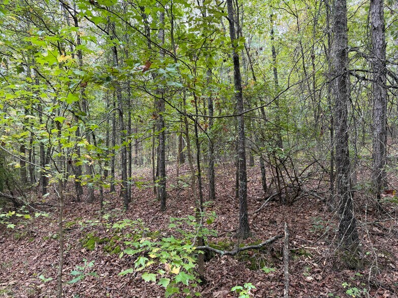 More Photos Of Colquitt Rd, Cedartown Land For Sale
