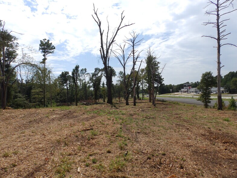 More Photos Of 16393 Highway 31, Tyler Land For Sale