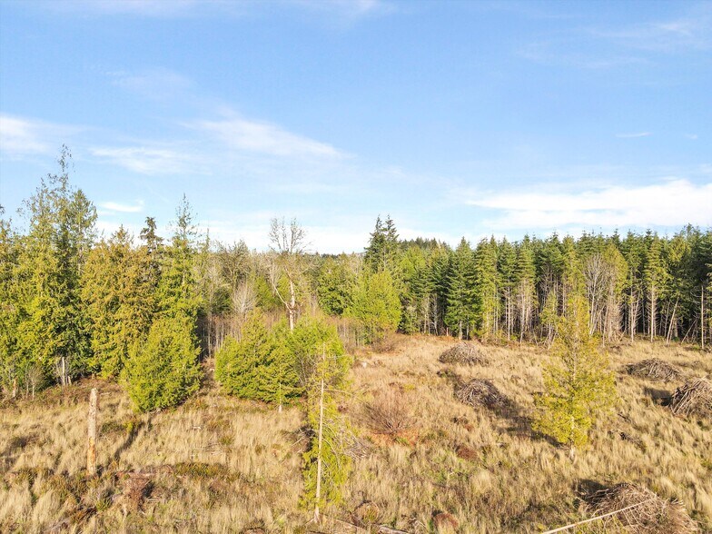 More Photos Of XXX Gravelly Beach Loop, Olympia Land For Sale