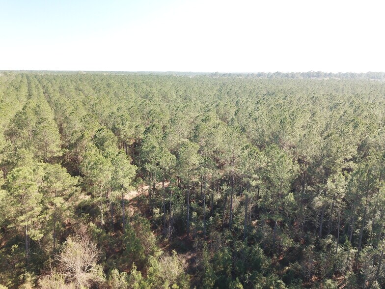 More Photos Of Corrigan Road, Vidor Land For Sale