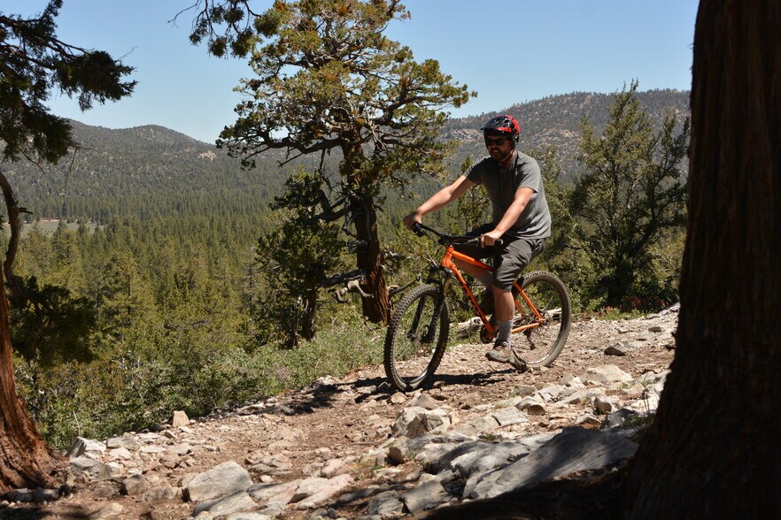 More Photos Of 34300 Holcomb Valley Rd, Fawnskin Land For Sale