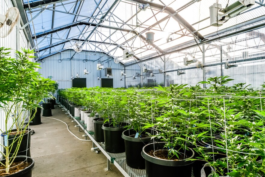 More Photos Of 40444 Bush Rd, Avondale Specialty For Sale