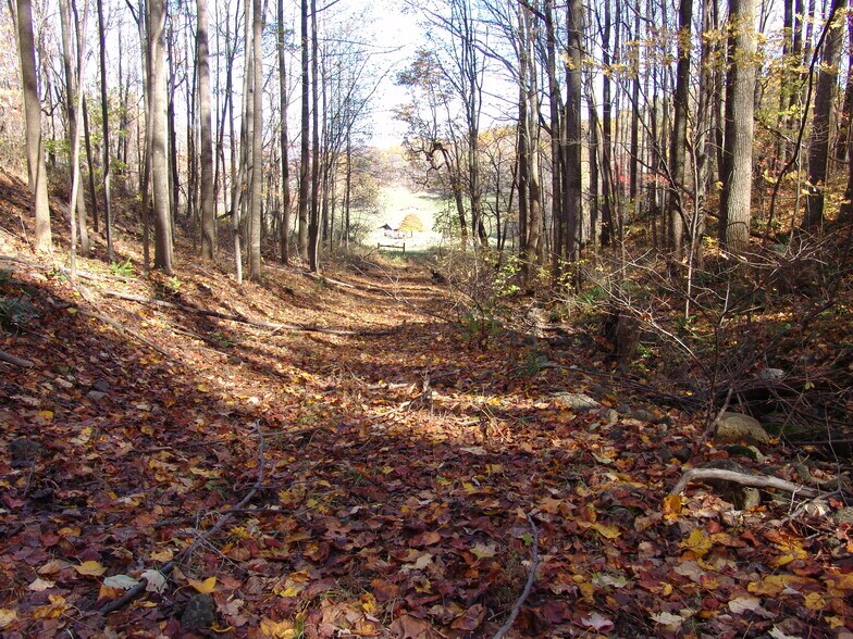 More Photos Of Near Little Washington Virginia, Washington Land For Sale