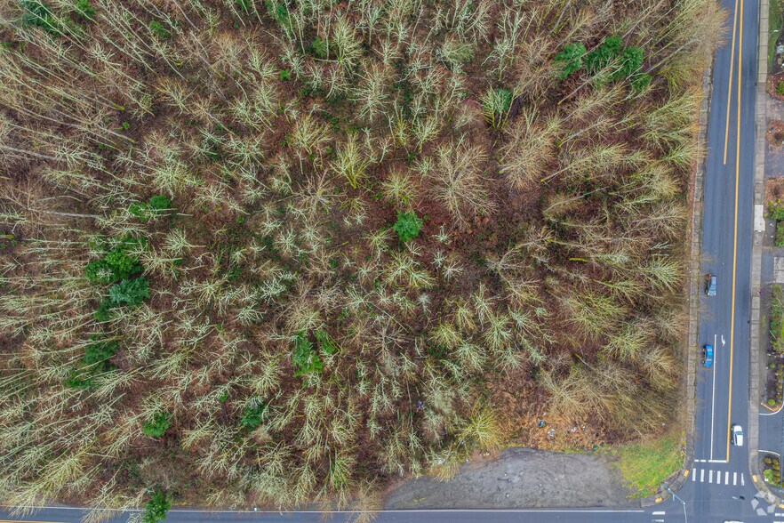 More Photos Of 12221 Shaw Rd, Puyallup Land For Sale