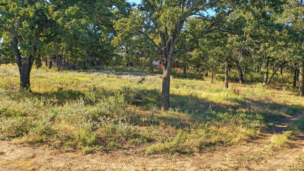 More Photos Of 5225 Highway 180, Weatherford Land For Sale