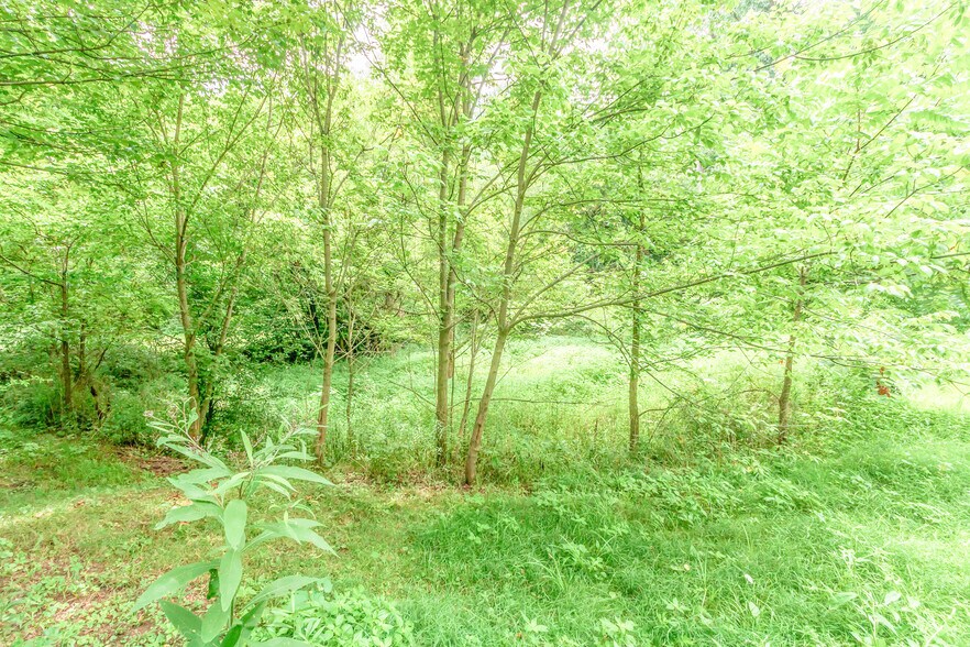 More Photos Of 0 Olentangy River, Delaware Land For Sale