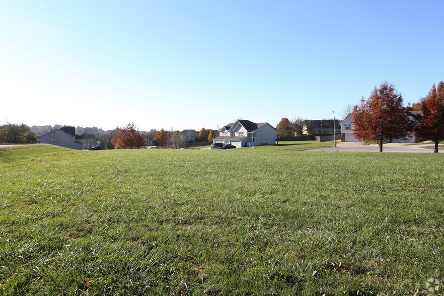 More Photos Of 219 Municipal Cir, Raymore Land For Sale