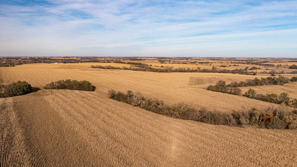 More Photos Of Hwy 63, Eagle Land For Sale