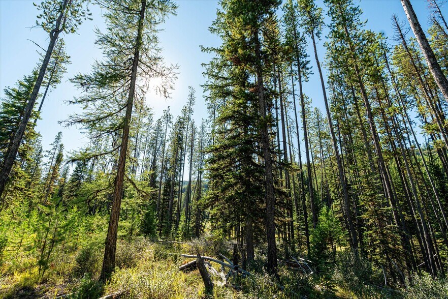 More Photos Of Nhn Logan Creek Road, Kila Land For Sale