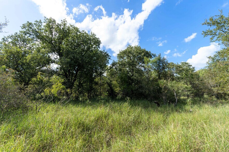 More Photos Of S Hwy 183, Lockhart Land For Sale