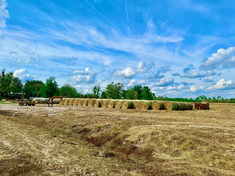 More Photos Of 4597 State 24 rd, Bronson Land For Sale